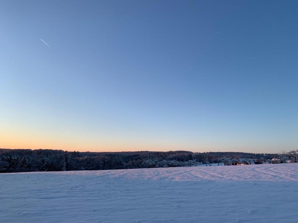 Modernes Ferienhaus Im Schwarzwald Freiamt Dış mekan fotoğraf